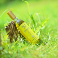 香云河野生山茶籽油 纯天然物理冷榨500ML有机山茶油  烟...