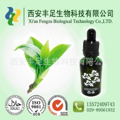 绿茶油 天然植物油 绿茶籽油 保健品级 大量现货包邮 厂家直...