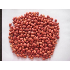 青岛花生进口清关一般一个柜子成本多少