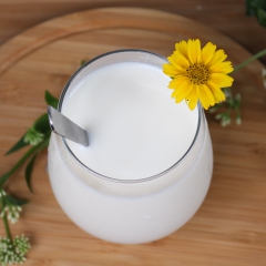 金椰粉 广州天源食品厂特价供应珍珠奶茶原材料 浓郁香醇