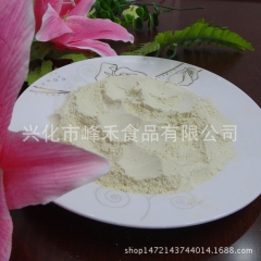 厂家直销批发供应 纯天然速溶菠萝粉 奶茶专用菠萝粉 果味冲饮