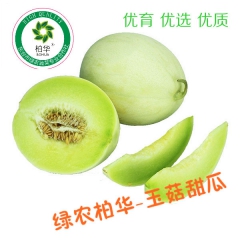 东台绿农玉菇甜瓜 香瓜 柏华优质品质张经理134017973...