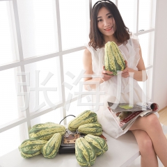 创意新款水果抱枕蔬菜毛绒玩具菜瓜毛公仔甜瓜毛绒玩具精品挂件