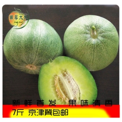 精选东北辽宁特产绿宝青甜瓜香瓜 8个7斤装 新鲜水果