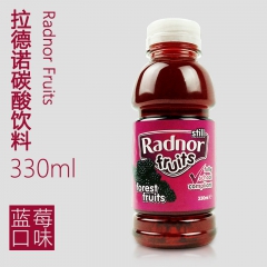 拉德诺森林水果味复合果汁饮料