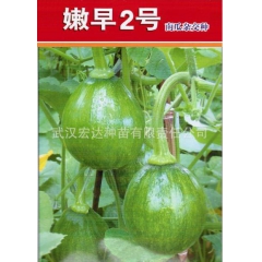 早熟嫩南瓜品种:嫩早2号F1（10克装）品质极佳 口感清脆嫩...