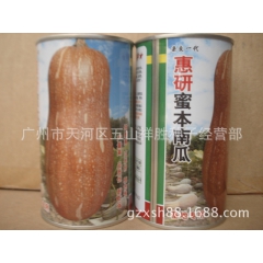 基地专用品种 惠研密本南瓜 杂交一代密本南瓜，商品性非常好5...