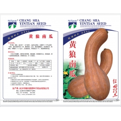 生产厂家直销（10克黄狼南瓜）