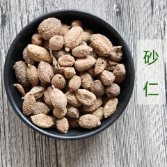 批发中药材 调味品砂仁精选砂仁粉 各种规格可打粉 厂家直销