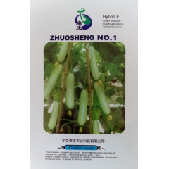 牛奶黄瓜是无限生长型水果黄瓜 圆柱形果实乳白色无刺无棱有光泽