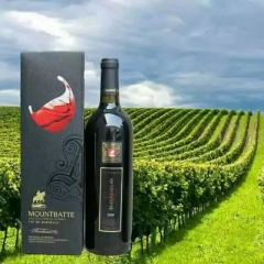 法国蒙巴顿酒庄红葡萄酒