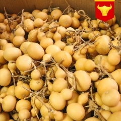 美国天然小葫芦带龙头摆件把玩件文玩工艺葫芦手捻葫芦批发葫芦