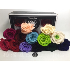 厄瓜多尔永生花中号玫瑰进口Roseamor 广州进口永生花批...