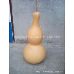 天然葫芦 工艺葫芦 批发天然大葫芦30--45公分 镇宅辟邪...