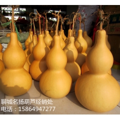 2个包邮批发天然特大葫芦 大亚腰葫芦 大葫芦摆件 30-45...