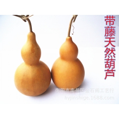 直销摆饰品挂饰品镇宅酒葫芦 天然大葫芦 高约17-32厘米