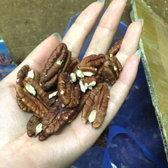 批发销售生碧根果仁 长寿果仁  坚果干果类休闲食品 品质保证