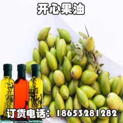 批发 德国 进口 开心果油 常用基础油 批发
