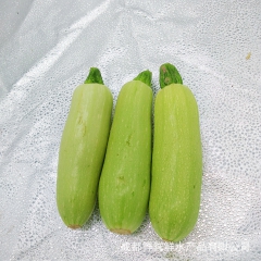 中华老字号 东阿阿胶桃花姬阿胶糕300g