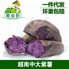 越南进口中大紫薯地瓜紫薯 新鲜水果5斤装包邮微商电商一件代发