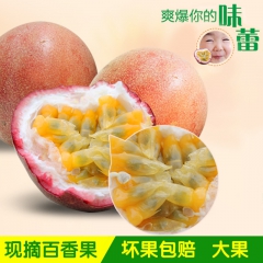 原产地直发越南一级百香果3斤包邮 新鲜水果进口西番莲鸡蛋果批...