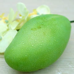 越南进口青芒果 新鲜热带水果玉芒 一件5斤装
