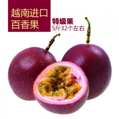 进口新鲜水果 越南百香果 5斤大果包邮 批发一件代发