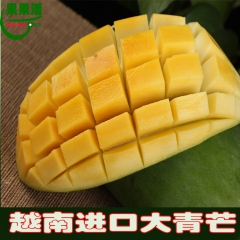 越南进口大青芒果 5斤芒果 一件代发水果代理价格