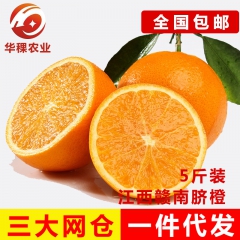 江西赣南无公害果园现摘鲜甜多汁大个脐橙5斤装 新鲜榨汁进口水...