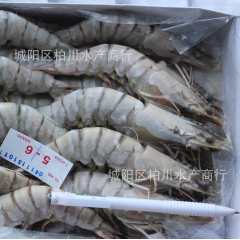 进口草虾、海捕大虾、海鲜冻货、越南野生草虾、酒店供应