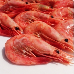 批发1KG/1箱北极甜虾 俄罗斯北极虾海产品 休闲海鲜40-...