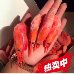 进口大虾水产冷冻海鲜批发供应俄罗斯马加丹野生深海北极甜虾5k...