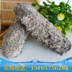 野生海参 野生海鲜干货进口南美参淡干 海鲜海产品干海参