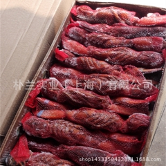 现货波士顿龙虾 进口海鲜 原装进口 原箱原码 婚宴酒席酒店食...