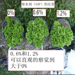 中华老字号 东阿阿胶桃花姬阿胶糕300g