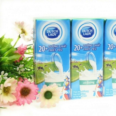 进口荷兰DUTCHLADY子母奶180ml*48盒甜牛奶四味
