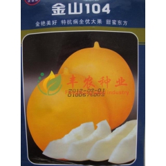 金山104厚皮洋香瓜，大面积种植，保真质量，10克
