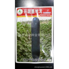 杂交黑皮冬瓜，兴蔬墨地龙，长炮弹型，墨绿色，肉厚，心腔小