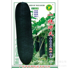 一炮冲天杂交黑皮铁心冬瓜
