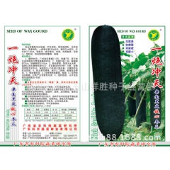 广东省农科院选育  一炮冲天杂交黑皮铁心冬瓜 商品性好15克