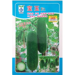 宝玉F1水果小冬瓜 可以生吃的小冬瓜 绿肉翡翠瓜3粒