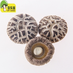河南花菇  4cm大香菇  礼品级香菇   欢乐菇干香菇3件...