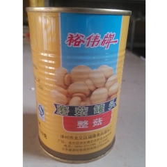 裕伟蘑菇罐头 整蘑菇 415原装