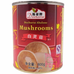 地豪牌白灵菇 800g*12/箱 整箱起批