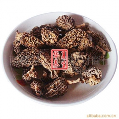 批发 西藏特产 野生特级羊肚菌 菌中之王 羊肚菌 大量有货
