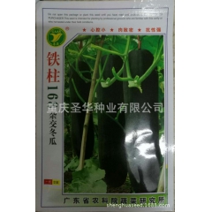 杂交黑皮冬瓜，铁柱168，长炮弹型，墨绿色，肉厚，心腔小