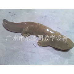 中华老字号 东阿阿胶桃花姬阿胶糕300g