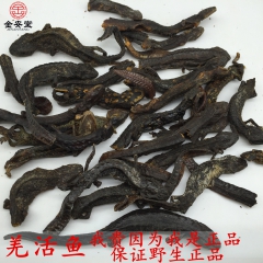 金安堂供应批发 羌活鱼 娃娃鱼 接骨丹 大龙 免费打粉 大量...
