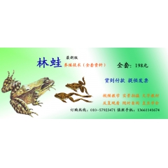 怎样养好中国林蛙