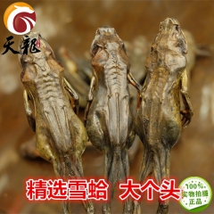 精选 大雪蛤 野生东北林蛙 约15g/个 足干蛤蟆干天龙尚品...